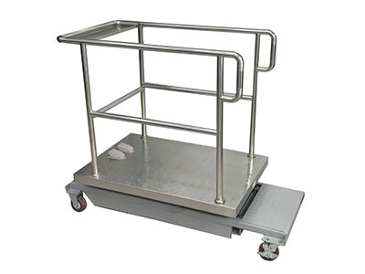 ZHSY-2電動(dòng)升降移動(dòng)法醫(yī)攝影臺(tái) ZHSY-2電動(dòng)升降移動(dòng)法醫(yī)攝影臺(tái)