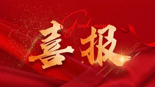 喜報┃我司成功入圍公安部2025年防護防暴裝備框架協(xié)議采購項目